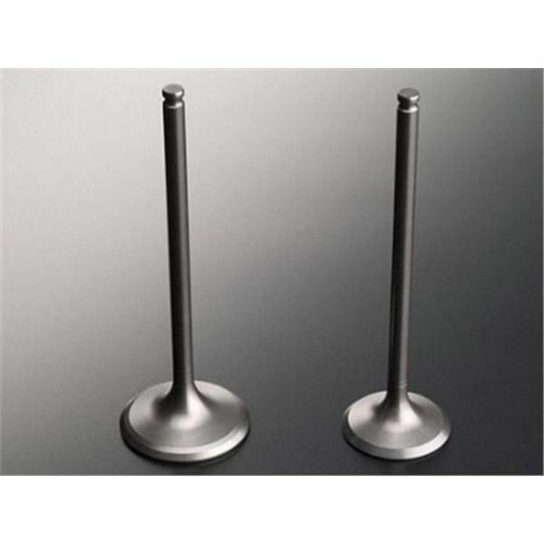 Supap Takımı Grande Punto Palıo 1.2 Fiat Grandepunto GNS-1359-1360 55185028