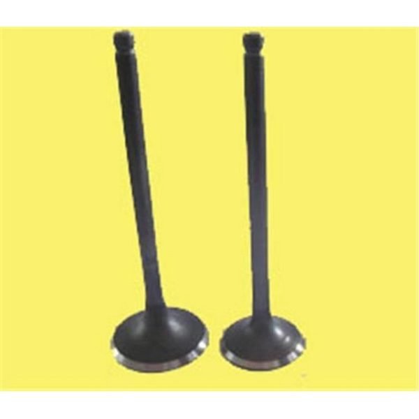 Supap Takımı 30 Derece 106 206 306 Saxo Xsara Tu5Jp 1.6 8V 3-Tırnak Peugeot 106 GNS-4428-4429 0948.65