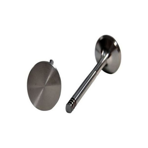 Supap Takımı 16V Safrane S40 6Mm Renault Safrane GNS-6163-6164 8200050141