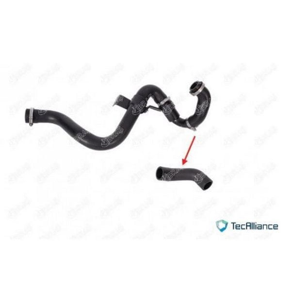 Turbo Hortumu Kangoo I Clio 1.5 Dcı Renault Kangoo IBR-11717 8200599534