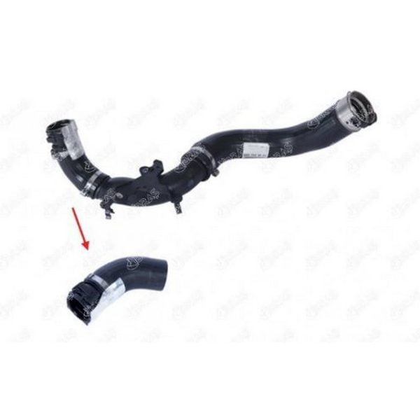 Turbo Hortumu Clıo Iv Captur Logan (Plastik Boru Hariç) 0.9 Tce Renault Clio IBR-11944 144604208R