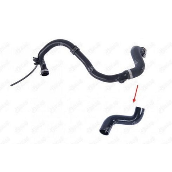 Turbo Hortumu Plastik Boru Hariç Clıo III 1.5 Dcı Renault Clio IBR-11974 217417936R
